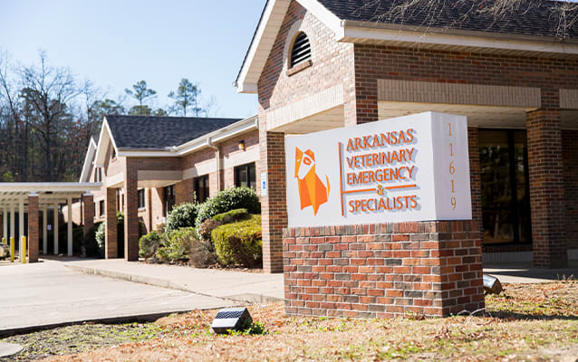 About our Animal Hospital in Little Rock
