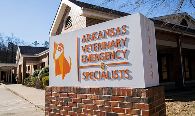 Arkansas Veterinary Emergency & Specialists | Little Rock